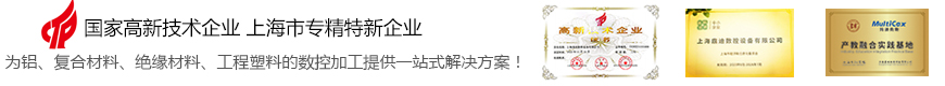 高新技术企业，上海市专精特新企业